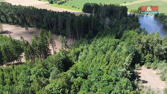 Prodej lesa, 5323 m², Olší u Opařany - 8