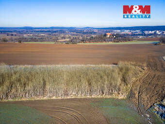Prodej pole, 24512 m², Horšovský Týn - 8