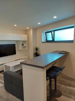 Pronájem kompletně zařízeného bytu 2+kk, 51 m² – Sedlec - 8