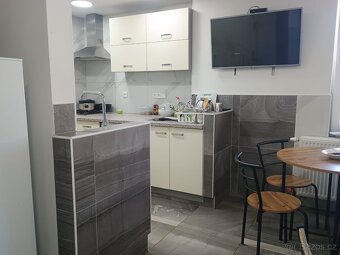 Nově zrekonstruovaný pension Berounka - 8