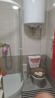 Pronájem bytu 2+1 - 8