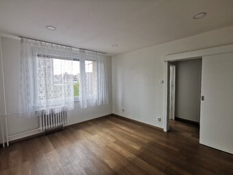 Centrum - Karlovina 1+1 po rekonstrukci, částečně zařízené - 8