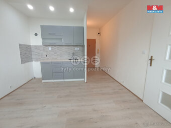 Prodej bytu 1+1, DV, 35 m², Krupka, ul. Karla Čapka - 8