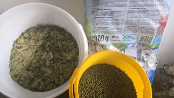 Krmení pro rybičky a úkryty skalky artemie 2 kg - 8