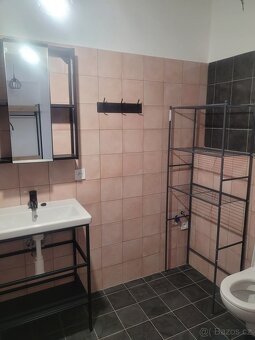 Pronájem bytu 2kk, K.ú.Domažlice - 8