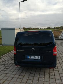 Vito - 8