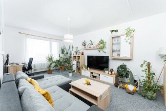 Byt 2+1 (70m2) Hradec Králové - 8