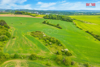 Prodej louky, 6006 m², Lešetice - 8