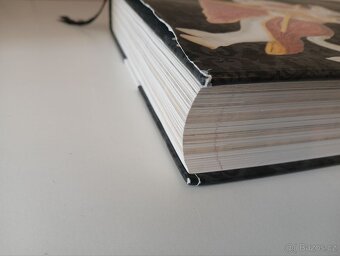 Rožmberkové: rod českých velmožů a jeho cesta dějinami - 8