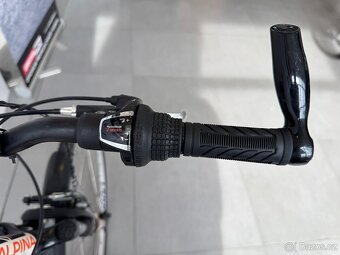 Alpina Eco C10 - 8