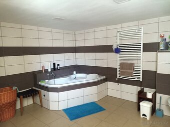 Prodej RD Rozsochy s dílnami a zahradou, CP 1512 m2 - 8