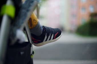 Auto Chinon Muliti-coated 50mm f1.4 Pentax - 8