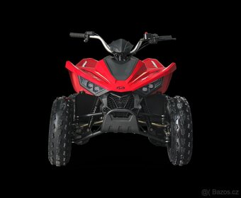 LINHAI ATV 110 2X4 EFI CE - 8