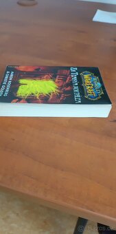 WARCRAFT Příliv temnoty a Za temným portálem - 8