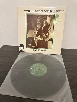 Velká sbírka vinylů – LP + singly – 30+ kusů - 8