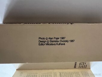 Dalibor Janda & Prototyp - kde jsi 1986 - 8