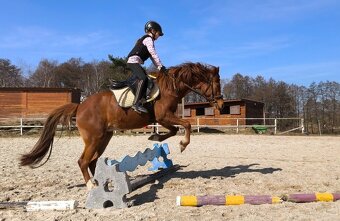 Líbivá charakterní pony klisna - 8