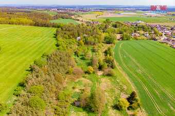 Prodej louky, 6618 m², Blatnice - 8