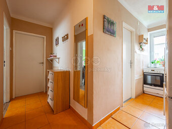 Prodej bytu 3+1, 65 m², Týnec nad Sázavou, ul. Družstevní - 8