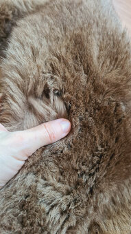 Pravá klokaní kožešina z Austrálie (3) - 8