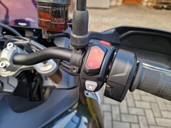 Triumph Tiger 900 Rally Pro 2024 DPH - 8