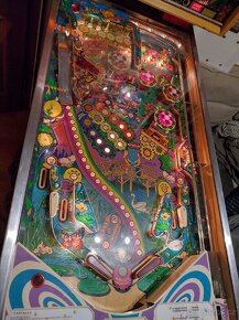 Pinball Zaccaria Farfalla - 8