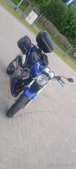 Honda Hornet 600f - 8