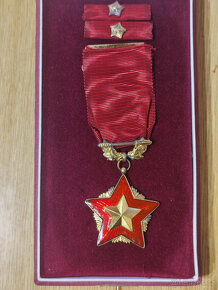 Řád rudé zástavy - vyznamenání medaile - 8