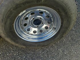 Mangels R15 - 8