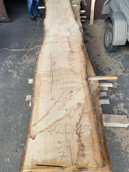 Dubové fošny 50 mm (suché 10%) - 8