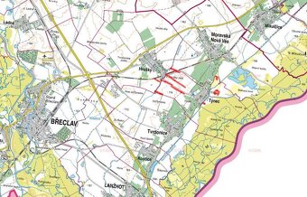 Zemědělská půda, prodej, Týnec, Břeclav - 8