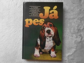 rybáři, zvířectvo, ptactvo, koně - 8