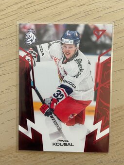 Hokejové Česko 2024 SportZoo 2024 - 8