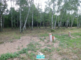 Prodej pozemky pro bydlení, 6 184 m2 - Dubí - Drahůnky - 8