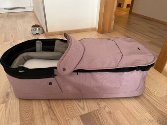 Kocarek Joolz day - 8