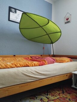 Baldachýn v podobě listů Zvonilky - 8