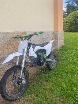 Pitbike Leramotors Shark 125 4T - 8