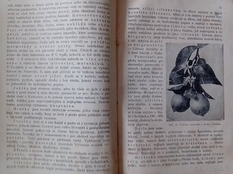 Nauka o zboží pro kupecké školy pokračovací - 8
