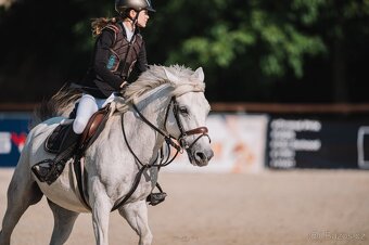 Pony kobylka 13let - 8