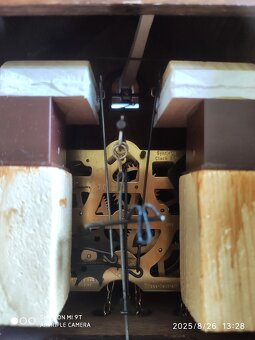 Hezke, kukacky, Schwarzwald - 8