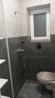 Pronájem minigarsonky Zlín - střed - 8