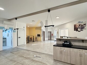 Pronájem komerčního prostoru 122m2, Hodonín - 8