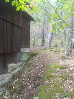 Prodám chatu - 8