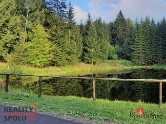 Prodej, pozemky/rybník, 5094 m2, Na Moravě 505, Desná II, 46 - 8