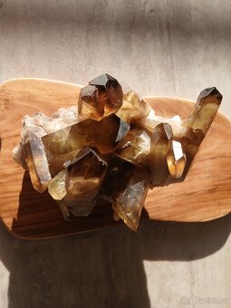 Citrin , velká drůza 6kg - 8