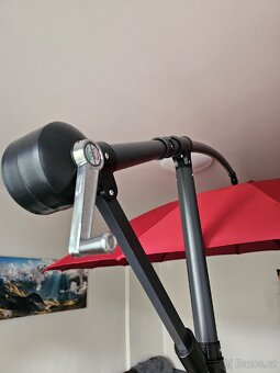 Zahradni slunečník - 8