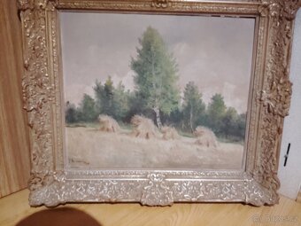 Obrazy pozůstalost - 8