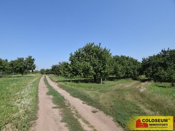 Velké Pavlovice, stavební parcela, 550 m2, investice, klidná - 8