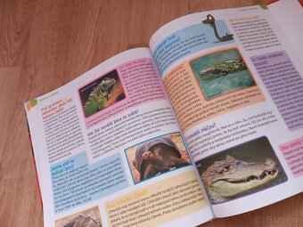 Kniha - Nejzvídavější dětské otázky - 8