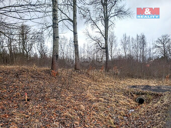 Prodej pozemku k bydlení v Staré Vodě, 2966 m2 - 8